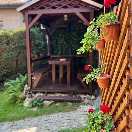 Πανσιόν Ovar 12 Vendeghaz 3*